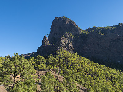 西班牙加那利群岛拉帕尔马火山弹坑国家公园的观点 火山景观和大片松树林山脉岛屿公园旅游木头旅行风景环境假期国家图片