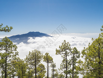 西班牙加那利群岛拉帕尔马火山口国家公园的山远足小径上的火山景观和郁郁葱葱的绿色松树林风景陨石旅行假期松树环境远足火山口国家山脉图片