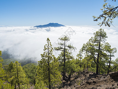 西班牙加那利群岛拉帕尔马火山口国家公园的山远足小径上的火山景观和郁郁葱葱的绿色松树林国家风景木头松树陨石旅行假期山脉旅游环境图片