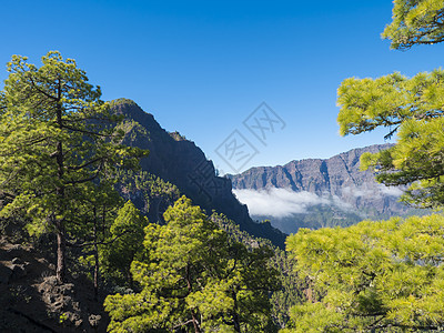 西班牙加那利群岛拉帕尔马火山弹坑国家公园的观点 火山景观和大片松树林陨石火山口远足国家旅行岛屿假期树木风景森林图片