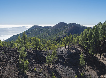 美丽的火山景观 郁郁葱葱的绿色松树和五颜六色的火山沿着路径 在西班牙加那利群岛拉帕尔马岛美丽的远足小径 蓝天背景旅行天空路线远足图片