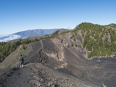 火山景观与郁郁葱葱的绿色松树 五颜六色的火山和熔岩岩场沿着路径 在拉帕尔马岛 加那利群岛 西班牙 蓝天背景的远足径荒野沙漠踪迹岛图片