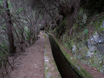 沿着 levada 的路径 在神秘的月桂树森林的水道 在西班牙加那利群岛拉帕尔马远足小径 Los Tilos 的郁郁葱葱的亚热带图片