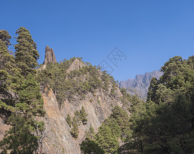 在西班牙加那利群岛拉帕尔马岛路段的峡谷火山口松树山沟陨石山脉蓝色侵蚀孤独风景森林图片