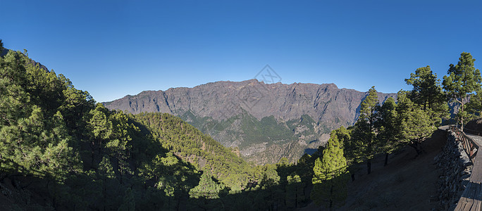 从西班牙加那利群岛拉帕尔马火山口国家公园的观景台可欣赏到火山景观和茂密的松树林 松树的全景树木公园旅行岛屿火山口风景陨石环境国家图片