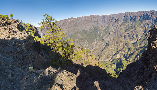 西班牙加那利群岛拉帕尔马岛山顶的Vipoint对火山口的全景边缘顶峰天线森林远足松树公园岛屿国家天空图片