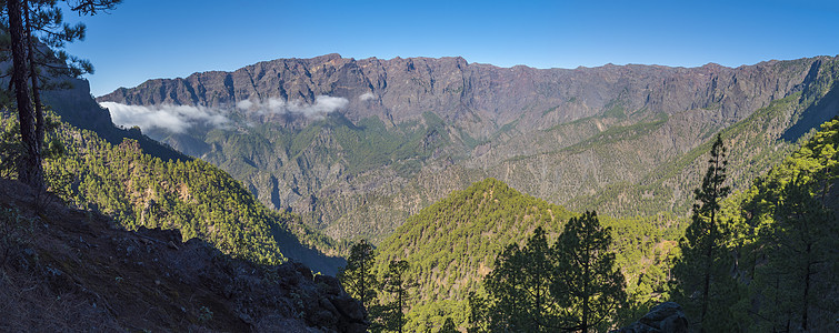 西班牙加那利群岛拉帕尔马火山口国家公园的全景火山景观和郁郁葱葱的松树林 松树景观图片