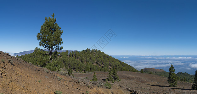 在路径的远足径上 可以欣赏到火山景观的全景 包括郁郁葱葱的绿色松树 五颜六色的火山和白云 拉帕尔马岛 加那利群岛 西班牙 蓝天背图片