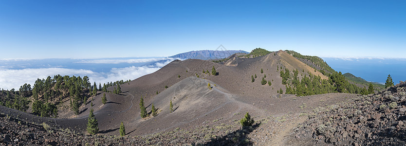 在路径的远足径上 可以欣赏到火山景观的全景 包括郁郁葱葱的绿色松树 五颜六色的火山和白云 拉帕尔马岛 加那利群岛 西班牙 蓝天背图片