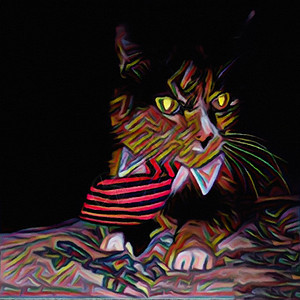 商业猫爪子小猫领带艺术姿势毛皮猫科耳朵野生动物眼睛背景图片