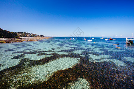 澳洲的海岸线海景晴天旅行海滩日落冲浪假期坡道海洋图片