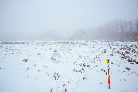 澳大利亚的山地湖风化风景季节性天气踪迹旅游滑雪白色山脉远足胶树图片