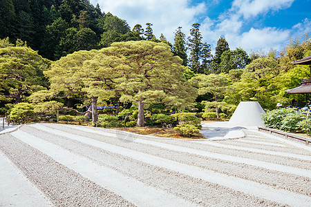 京都日本银桂庙寺殿建筑日光花园池塘地标建筑学公园历史宗教森林图片