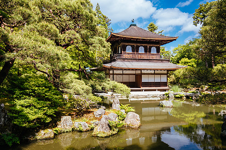 京都日本银桂庙寺殿地标公园建筑学文化佛教徒森林叶子历史旅行遗产图片