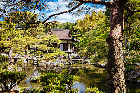 京都日本银桂庙寺殿精神旅游树叶历史地标森林文化建筑学池塘日光图片