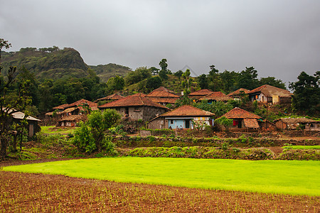 印度农村农业社区农田旅行场地房子村庄绿色奶牛农场农民风暴图片