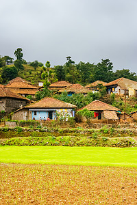 印度农村农业社区乡村农民农田农场房子旅行奶牛绿色生长风暴图片