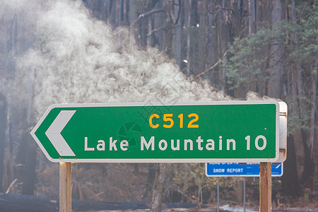 澳大利亚黑色星期六火灾之后的山岳湖Lake Mount大火路标桉树旅游风景缠绕丛林森林旅行植物群图片