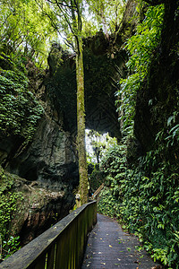 Mangapohue自然桥小路火山旅行公园环境溪流树木荒野生态土地图片