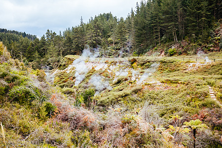 新西兰的Wairakei自然热河谷蒸汽苔藓环境岩石温泉谷远足火山植物动物群小路图片