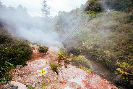 新西兰的Wairakei自然热河谷火山温泉谷悬崖远足小路大自然岩石植物爬坡陨石图片