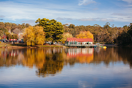 Daylesford湖 秋季维多利亚州黄色乡村木头场景农村橙子叶子风景季节太阳图片