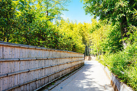 日本京都南部的青山竹木林历史性旅行竹子途径旅游通道丛林文化吸引力街道图片