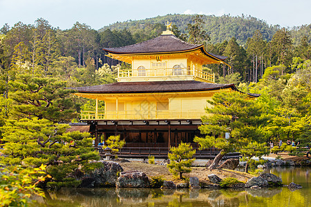 日本京都金宫寺或金殿 日本京都松树建筑学宗教亭子地标季节花园旅游旅行吸引力图片