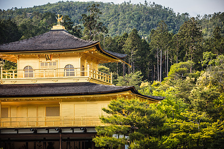 日本京都金宫寺或金殿 日本京都佛教徒神社纪念碑建筑学宗教金子森林反射历史季节图片