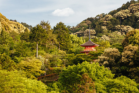 京都日本清水寺寺旅行社宝塔木头旅行旅游宗教地标森林遗产历史图片
