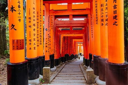 京都日本神社宗教遗产寺庙佛教徒神道人行道橙子旅行社地标走廊图片