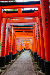 京都日本神社通道旅行社踪迹宗教橙子精神小路木头建筑学隧道图片