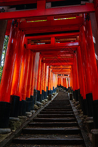 京都日本神社旅行社寺庙宗教地标历史橙子文化踪迹神道建筑学图片