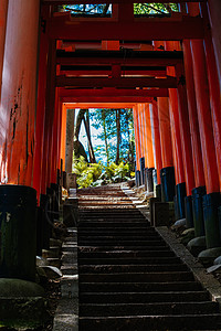 京都日本神社踪迹旅行宗教通道人行道寺庙历史地标精神旅游图片