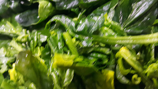 近距离观看菠菜蔬菜的红绿叶子 植物本底减肥深绿色食物种植养分香草绿色香菜素叶美食图片
