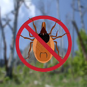警告符号寄生虫标志 红蜘蛛 红螨 流行性 螨寄生虫 绿色森林的背景 插图图片