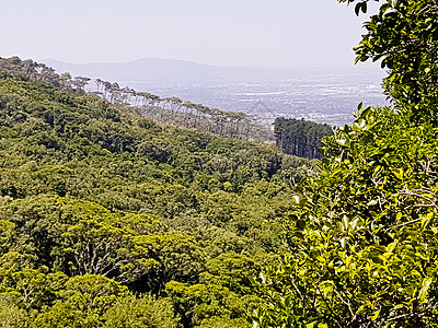 从开普敦的表山到克莱尔蒙特 查看顶峰全景山脉旅行城市田园自然保护区旅游风光远足图片