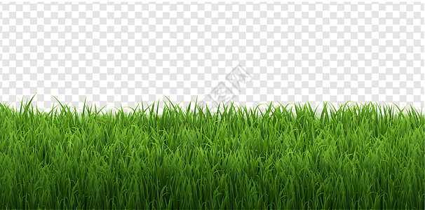 在透明背景上隔离的草边框广告边界草地花园框架艺术横幅全景场地植物图片