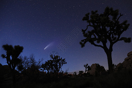 宇宙中恒星的景观图像Name星迹延时天空星座夜空彗星公园蓝色日落光绘图片