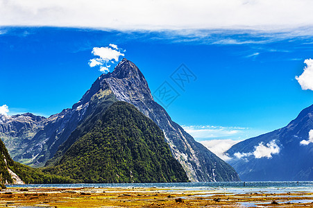 新西兰密尔福德湾低潮地蓝色悬崖风景树木森林荒野吸引力海岸丘陵地标图片