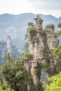 中国 张家江国家公园电影国家山峰树木岩溶公园头像图片