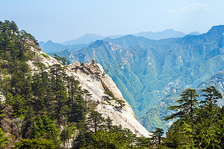 中国华山山山旅行树木天空国家公园背景图片