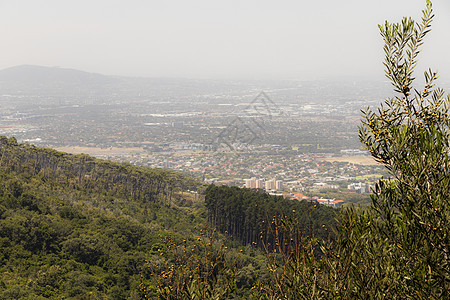 开普顿 克莱蒙特区和南非山区公园风光风景爬坡山脉丘陵旅行悬崖天际树木图片