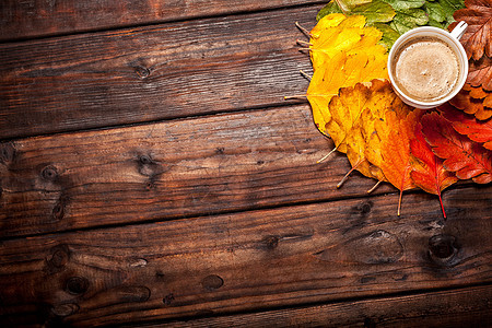 秋叶的咖啡杯杯子桌子季节树叶棕色食物早餐木头咖啡店橙子图片