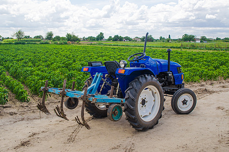 蓝色拖拉机 背景是保加利亚胡椒种植园的绿田和犁耕机 农业 农业 农业机械和设备 在农场工作 收获喷涂生长种植园辣椒机械土壤胡椒食图片