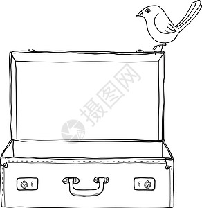 Brown case 旧式空手提箱和可爱的鸟手图片