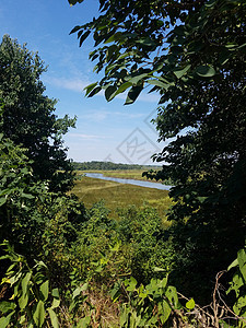 河水 户外树木和蓝天空环境天空溪流植物蓝色图片