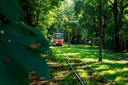 城市电车在夏日乘火车图片