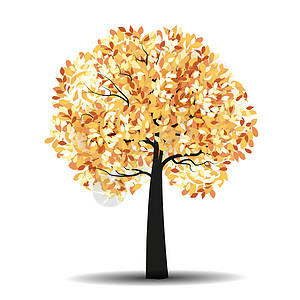 秋天的树与落叶公园飞行插图艺术植物森林墙纸程式化季节卡片背景图片