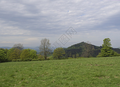 田园诗般的春天风景 lucitian 山 郁郁葱葱的绿草草地 新鲜的落叶和云杉林 山丘 蓝天白云背景 水平 复制空间晴天乡村草原图片